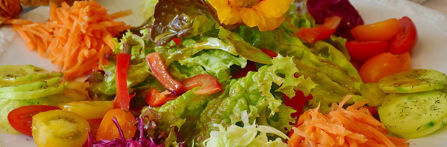 Salate und Vorspeisen: leicht und gesund